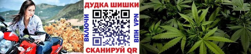Бошки марихуана SATIVA & INDICA  купить наркоту  Кондрово 